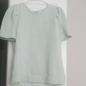 Talbots Petite Mint and Cream Knit Top